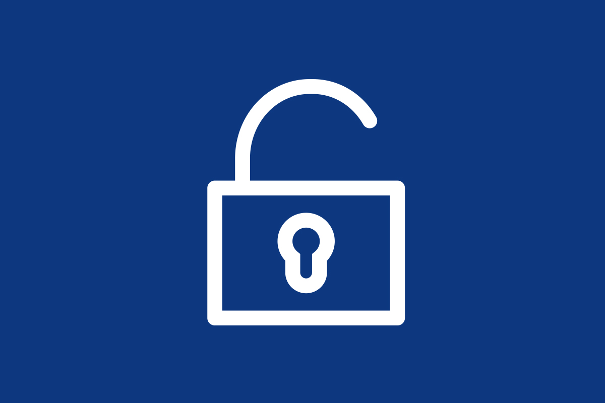 Zugriff Icon